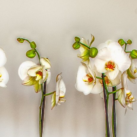 Hotel Restaurant Rhy in Oberriet St.Gallen Hotel Restaurant Rhy in Oberriet St.Gallen